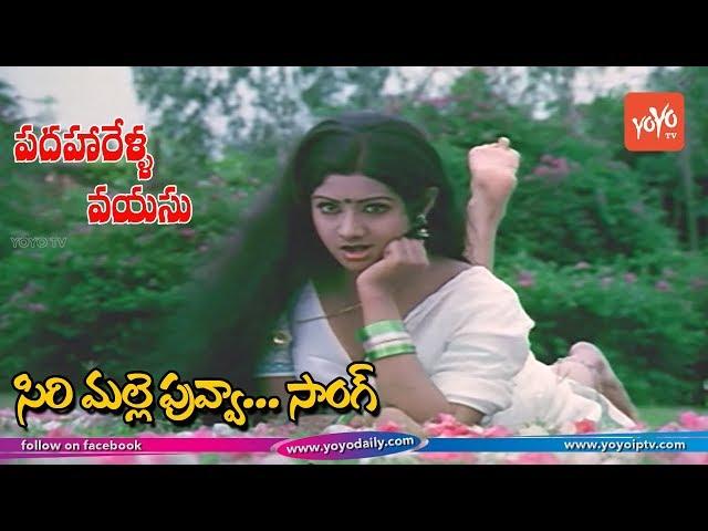 Sirimalle Puvva Video Song HD | Padaharella Vayasu Movie Songs | Sridevi | YOYO TV Music