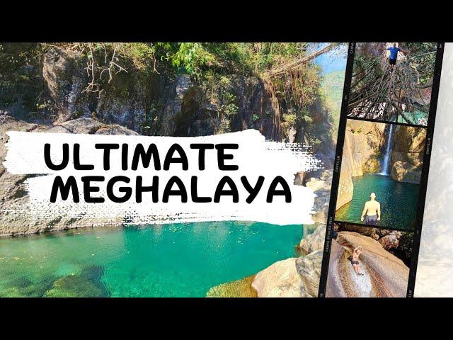 Meghalaya's ULTIMATE Adventure  Highest Natural Root Bridge!