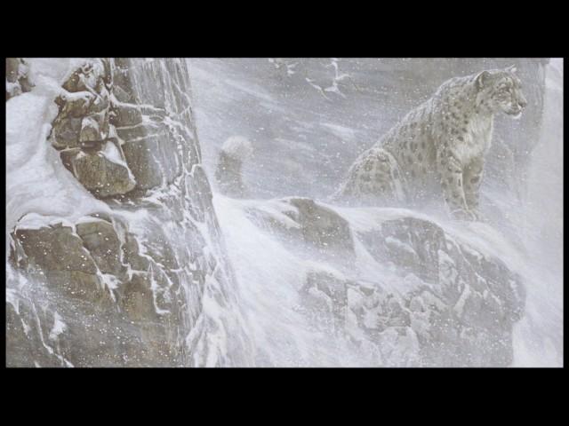 #04 High Kingdom Snow Leopard by Robert Bateman