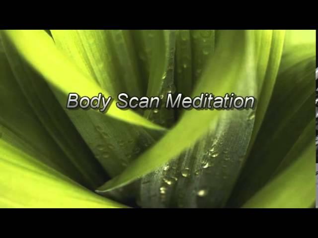 MBSR Body Scan Meditation (2014 version)