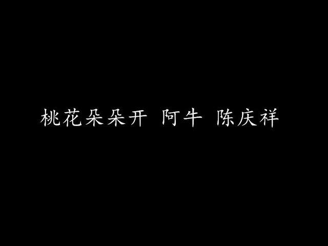 桃花朵朵开 阿牛 陈庆祥 (歌词版)