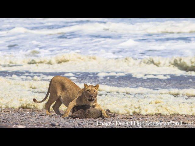 E55 MARINE FOOD RESOURCES - Desert Lion Conservation Trust