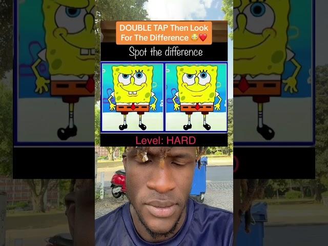 Spot The Difference Level Hard!
