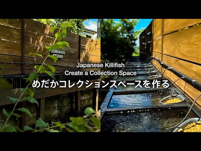 Handcraft all of Japanese killifish collection space