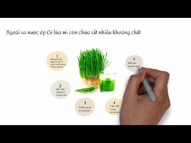 Dinh dưỡng trong 100ml nước ép Cỏ lúa mì - Phần 1