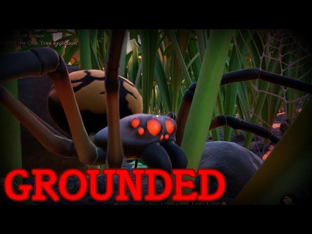 We've Shrunk Down With No Way Home! - Grounded [1]