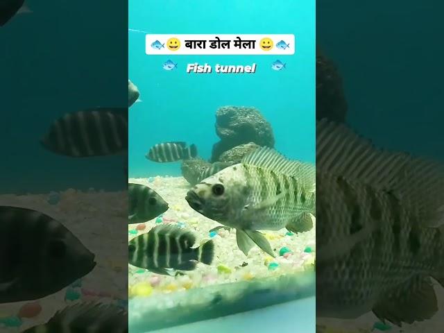 Baran Dol Mela | Fish Tunnel | Baran | #View_of_rj28