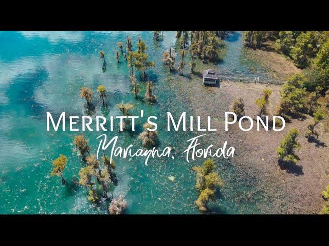 Spectacular SPRINGS!! KAYAKING @ MERRITT'S MILL POND, Florida