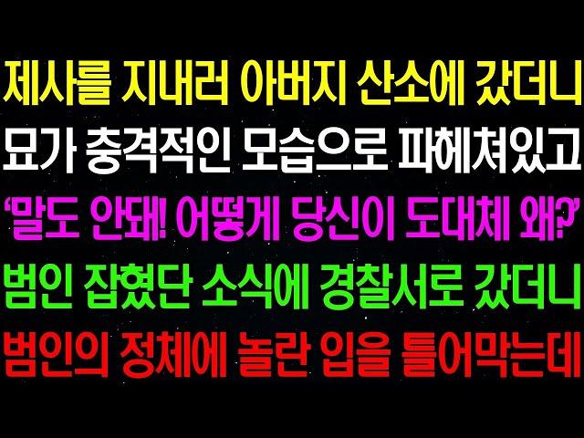 실화사연  제사를 지내러 아버지 산소에 갔더니 묘가 충격적인 모습으로 파헤쳐져 있는데    라디오사연  썰사연 사이다사연 감동사연