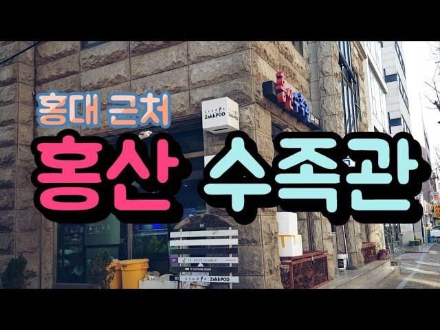 홍대 놀거리, 홍산 수족관 방문기, Korean fish shop tour, TaengSunny, 탱써니물생활