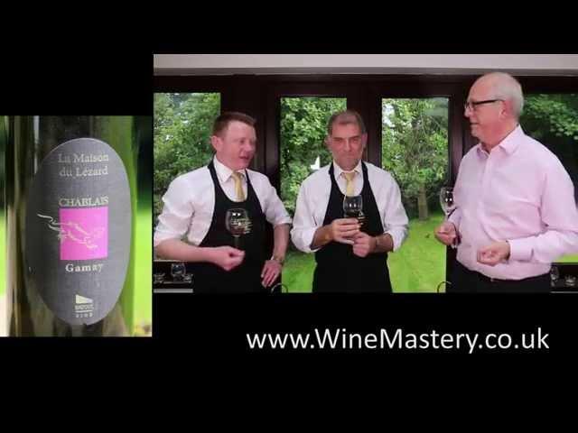 95. Chablais Gamay Wine Tasting - Episode 25 Part 3