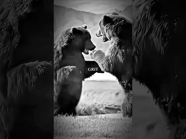 WE FIGHT! #motivation #motivate #motivational #inspiration #inspirational #grizzlies #bear #shorts