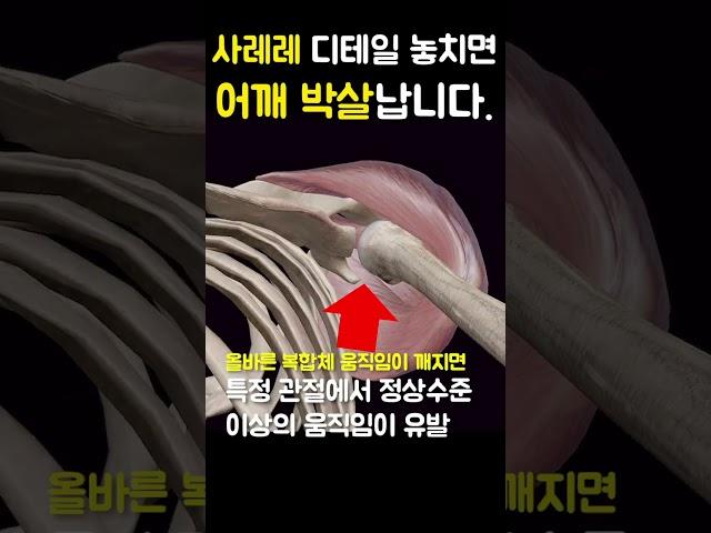 사레레 이 디테일 놓치면 어깨 박살 납니다