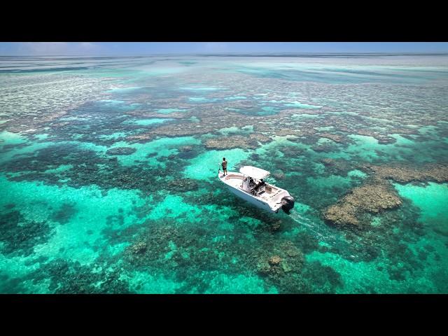 Fishing REEF HOLES at DEAD Low Tide !!