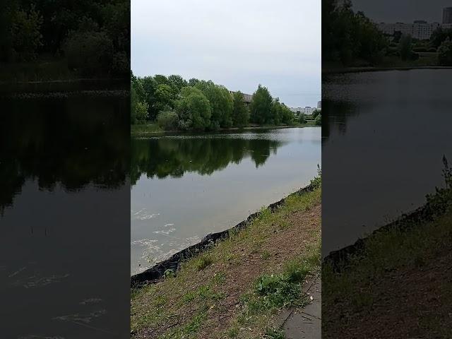 ХОЧУ ПОЙТИ НА РЫБАЛКУ