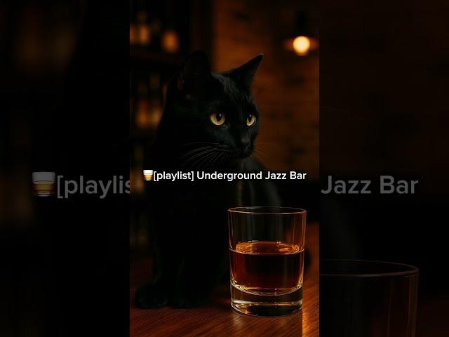 Bluesy Jazz｜담결 vol.5