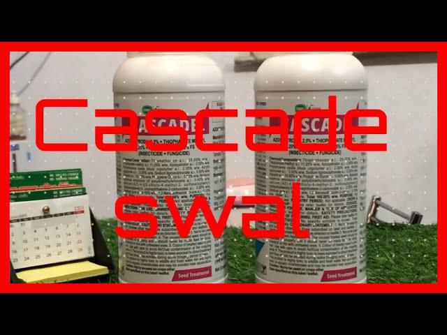 Cascade Swal insecticide/fungicide || Seed Treatment || 2022 #fungicide #seedtreatment