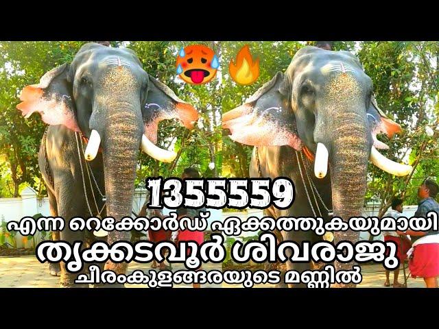 1355559 എന്ന റെക്കോർഡ് ഏക്കത്തുകയുമായി തൃക്കടവൂർ ശിവരാജു ചീരംകുളങ്ങരയുടെ മണ്ണിൽ ||