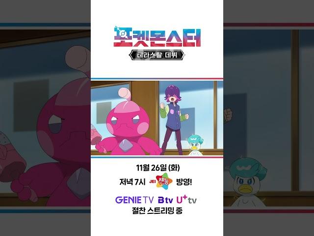 [공식] 포켓몬스터: 테라스탈 데뷔 - 한 컷 픽업 (11월 26일 방영분 ②)