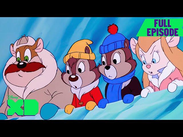 Chip 'n Dale: Rescue Rangers Full Episode | S3 E4 | A Chorus Crime | @disneyxd