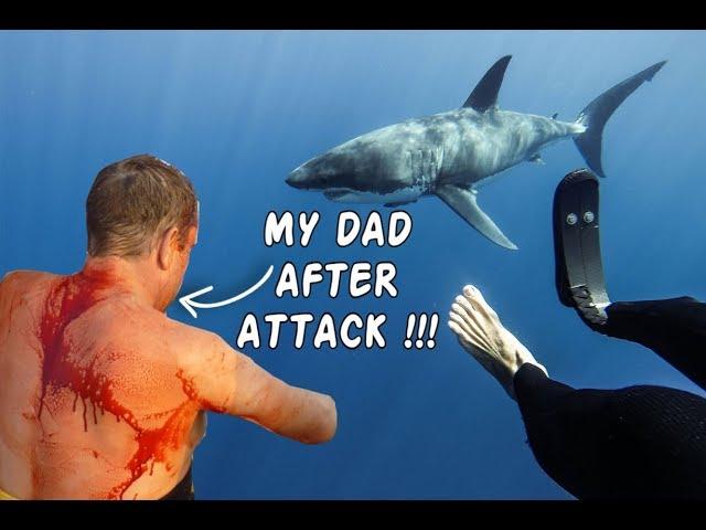 SHARK ATTACK EGYPT 2018