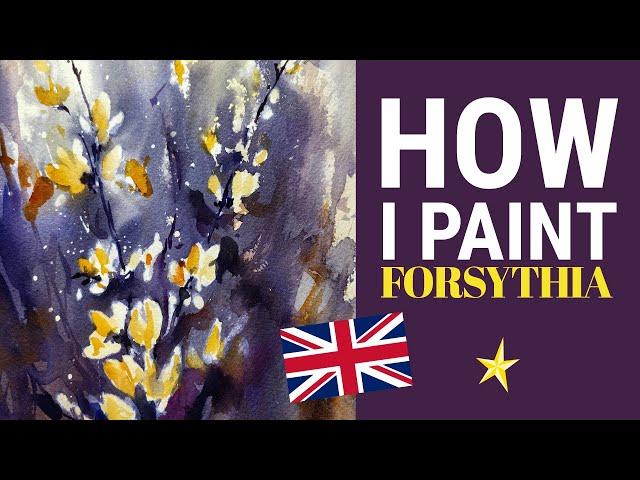 Forsythia in watercolor - ENGLISH VERSION