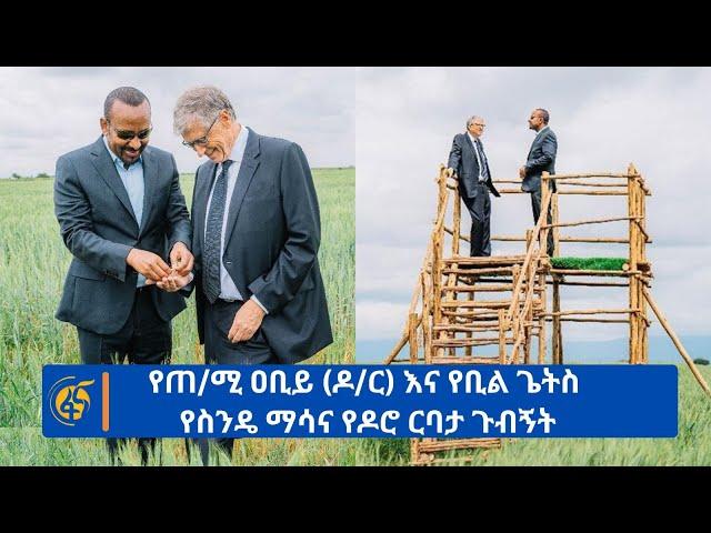 የጠ/ሚ ዐቢይ (ዶ/ር) እና የቢል ጌትስ የስንዴ ማሳና የዶሮ ርባታ ጉብኝት