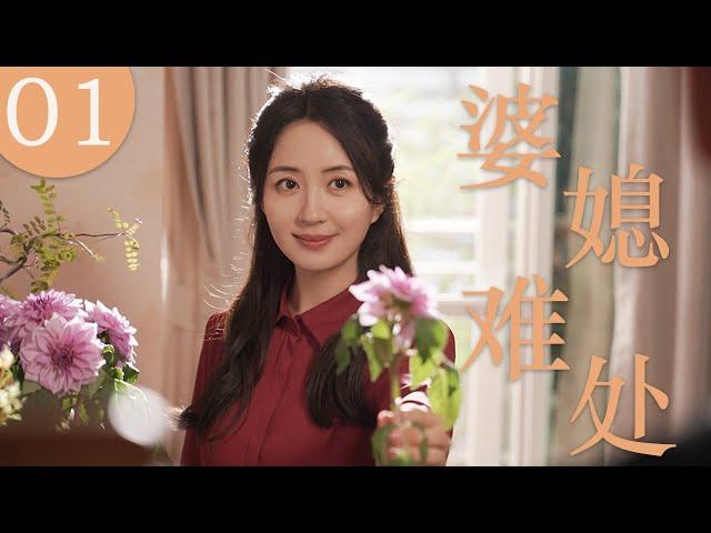 婆媳难处 01（主演：杨童舒，王丽云，张铎，王同辉，隋俊波）