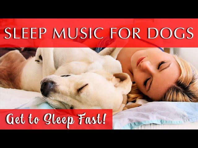 Calming Music for Dogs and Humans to Sleep FAST | 528Hz