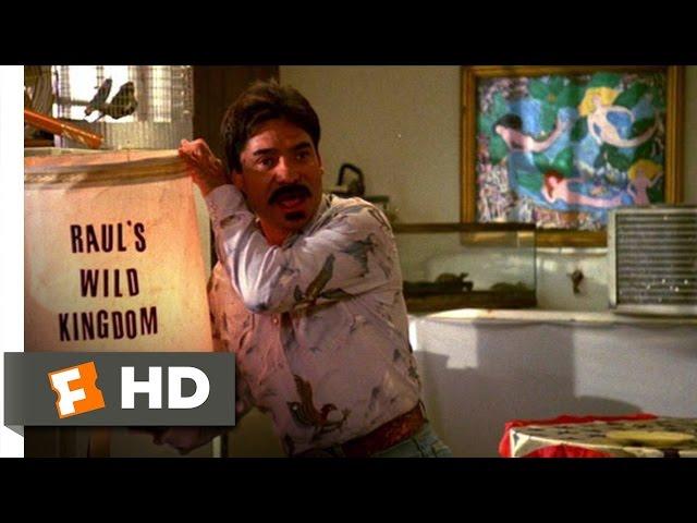 UHF (8/12) Movie CLIP - Teaching Poodles How to Fly (1989) HD