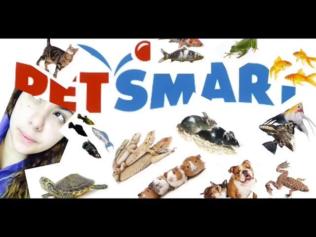 A day in the life of a petsmart worker!