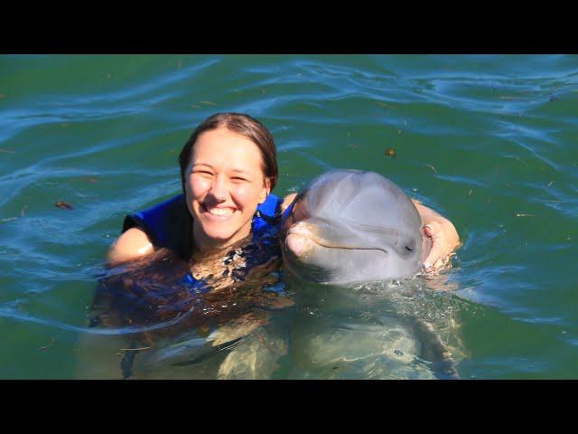 Swimming With Dolphins In The Dominican Republic