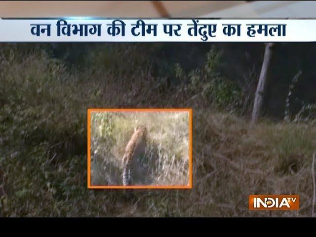 Saharanpur police launch hunt for leopard in UP