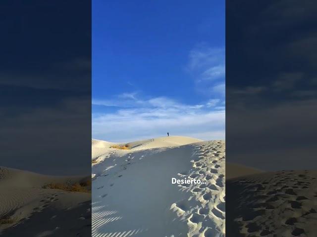 Dunas #nature #adventure #mistery #wondersoftheworld #desierto #mexico #explore