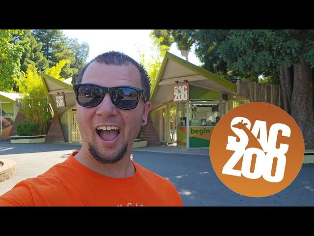 Sacramento Zoo, a full walk through, plus food review! It's my first time visiting.