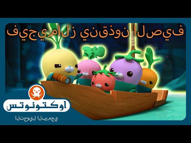 أوكتونوتس |  فيجيمالز ينقذون الصيف! ️ | حلقات مجمعة