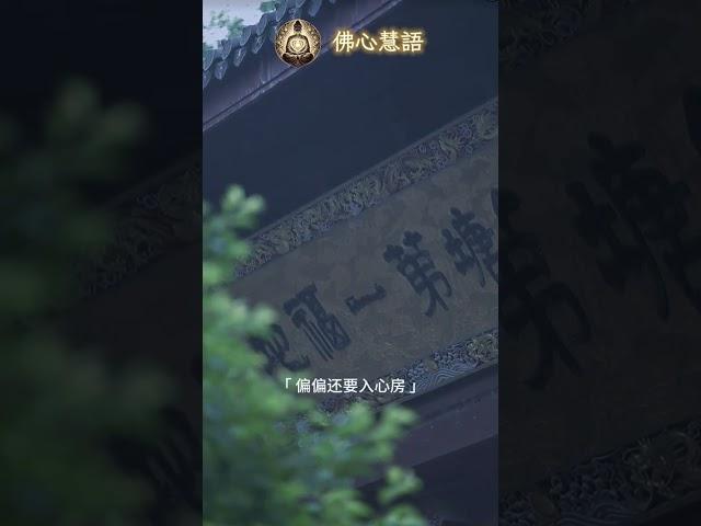 來世不做癡情郎 #佛心慧語 #哲理名言 #佛學智慧