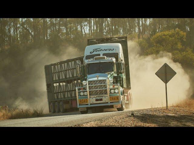 Life as an outback cattle transporter - Fraser's Transport