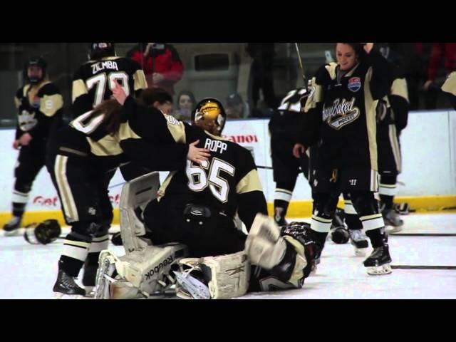 2015 MiHockey Banquet of Champions - Closing Video