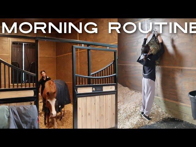 Equestrian barn morning routine! feeding, mucking out etc.