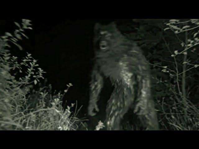 THESE ARE THE MOST SCARIEST DOGMAN SIGHTINGS THAT PEOPLE HAVE REPORTED!!