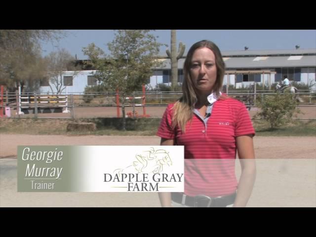 Dapple Grey Farm