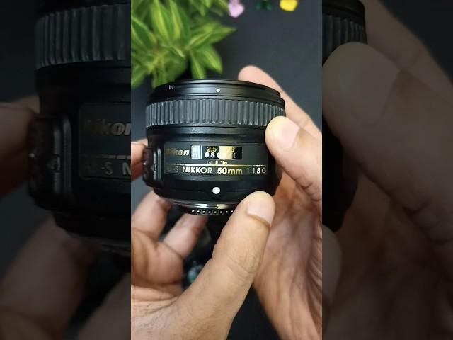 Nikon D5300 photography with 50mm f1.8g lens #shorts