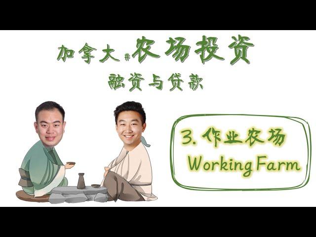 商业漫聊 - 农场贷款(2)【作业农场】