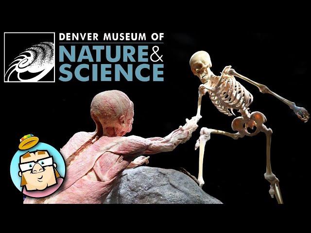 Massive Sprawling Museum!  Mummies!  Dinosaurs!  Space!  Skeletons! Denver Science and Nature Center