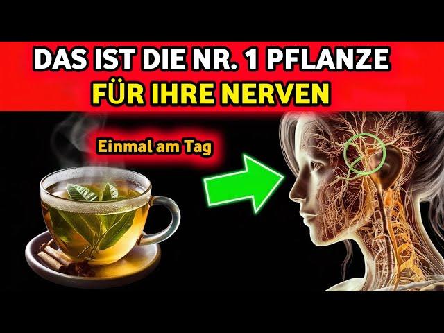 Neuropathie Adé: Die Nr. 1 Pflanze zur sofortigen Nervenreparatur!