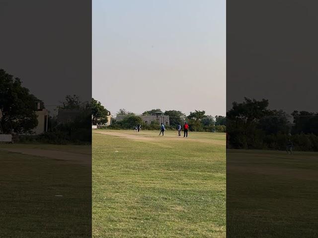 Leg before out hy ya ne #cricket #trending #worldcup2023 #crictalks #crictales