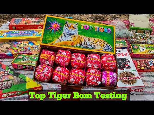 Uncovering Diwali's Top Tiger Bomb Secrets 2023 | Diwali Stash Testing 2023 #cgkeexperiment #diwali