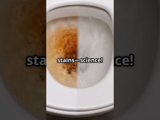 Life Hack Clean Your Toilet with Cola!  #nextgenhacks #lifehacks #cleaning
