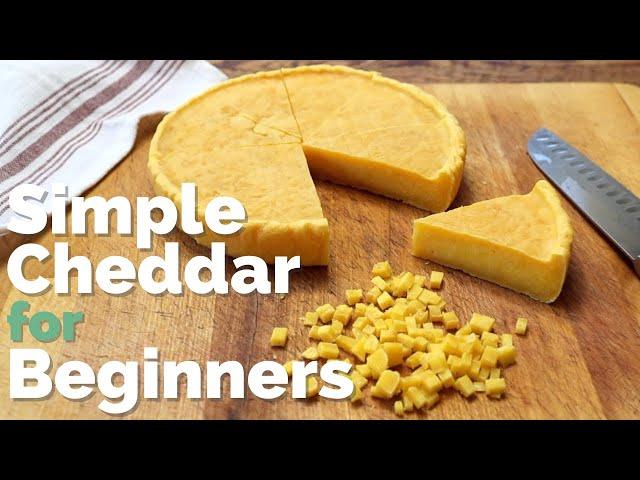 Home Cheesemaking - no special equipment required! | Easy Farmhouse Cheddar (Hard Cheese) Recipe